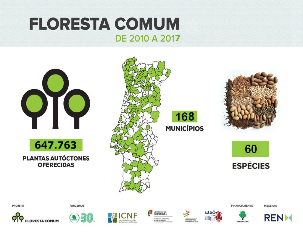 Floresta Comum | Fase de candidaturas até 29 de setembro
