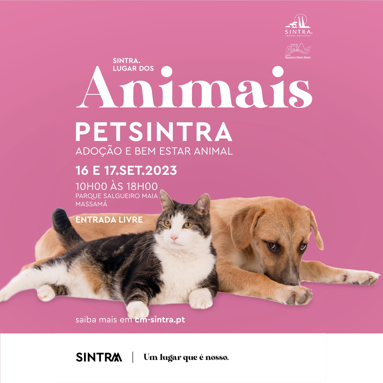 PET Sintra | Inscrições abertas para associações e instituições