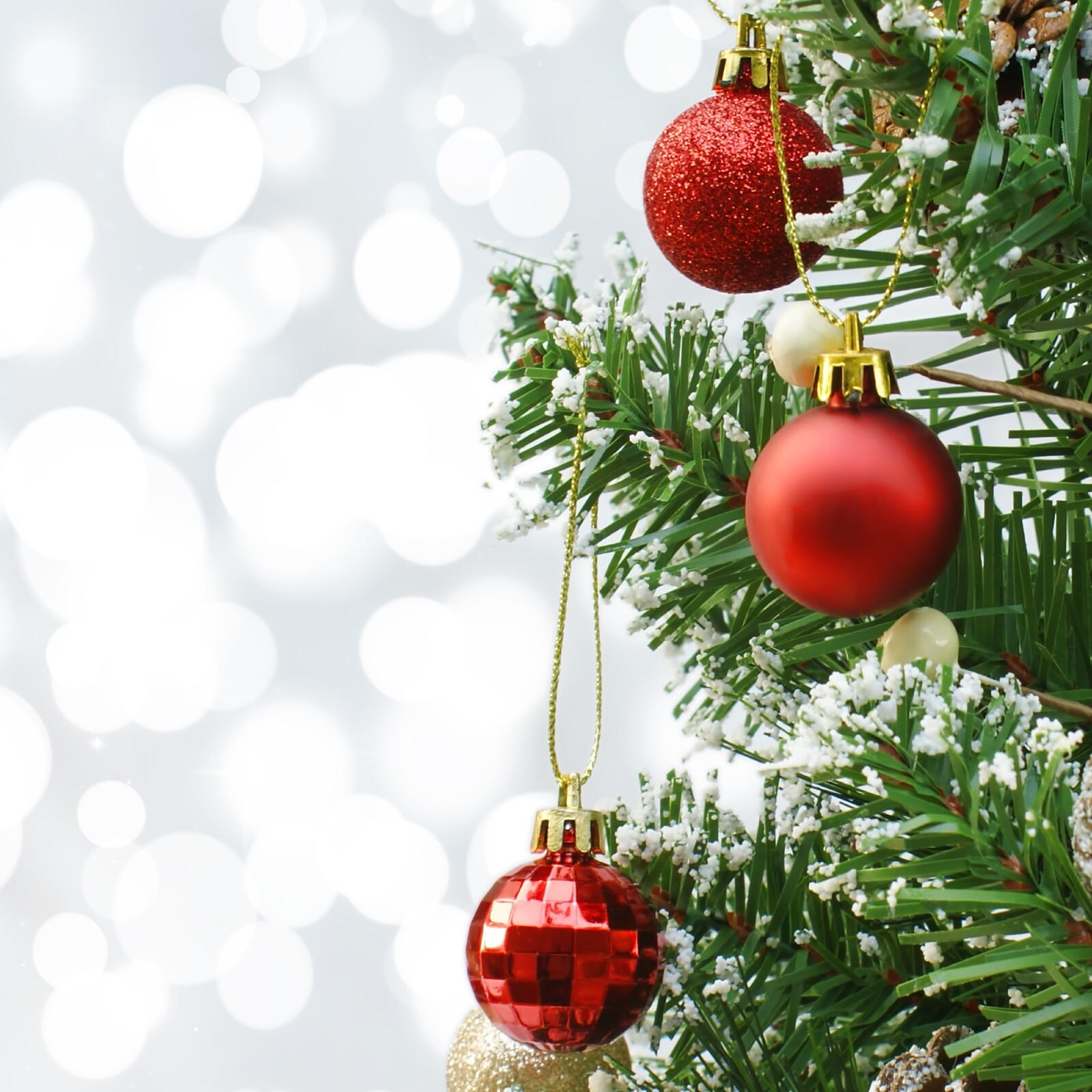 Concurso A minha Árvore de Natal 2023