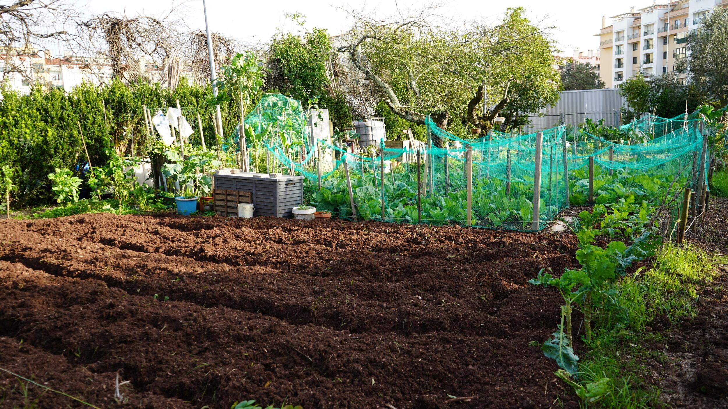 Candidaturas das Hortas Comunitárias