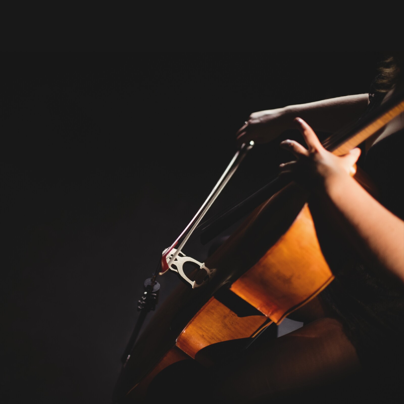 Ciclo de concertos | Ano Novo