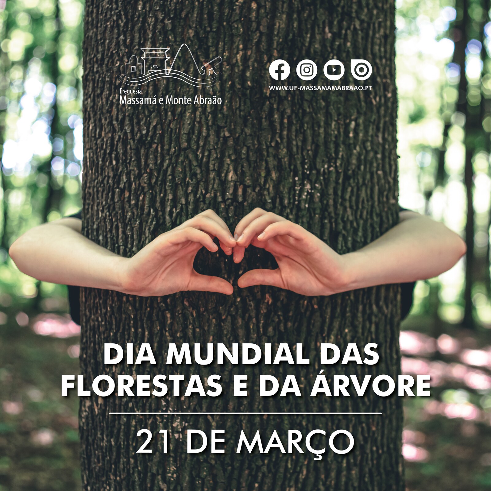 Efeméride | Dia Mundial das Florestas e da Árvore