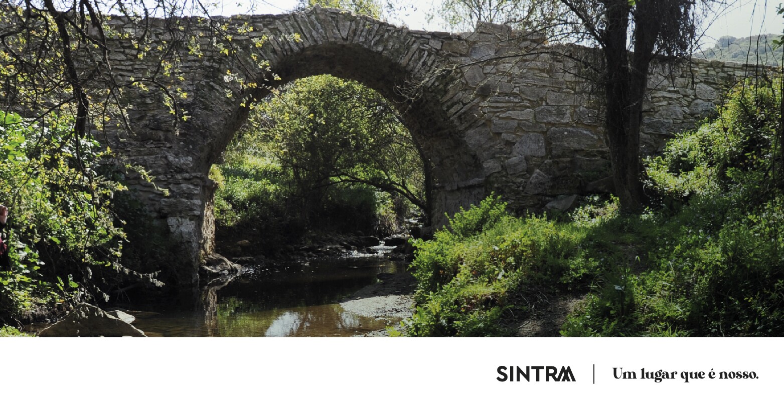 Dia Internacional dos Monumentos e Sítios com visitas guiadas gratuitas