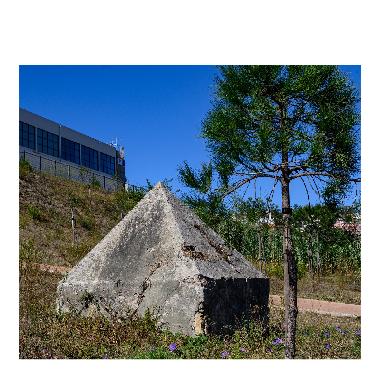 Caminhadas com Stória pelo eixo Verde e Azul, ribeira do Jamor e Aqueduto Real de Queluz