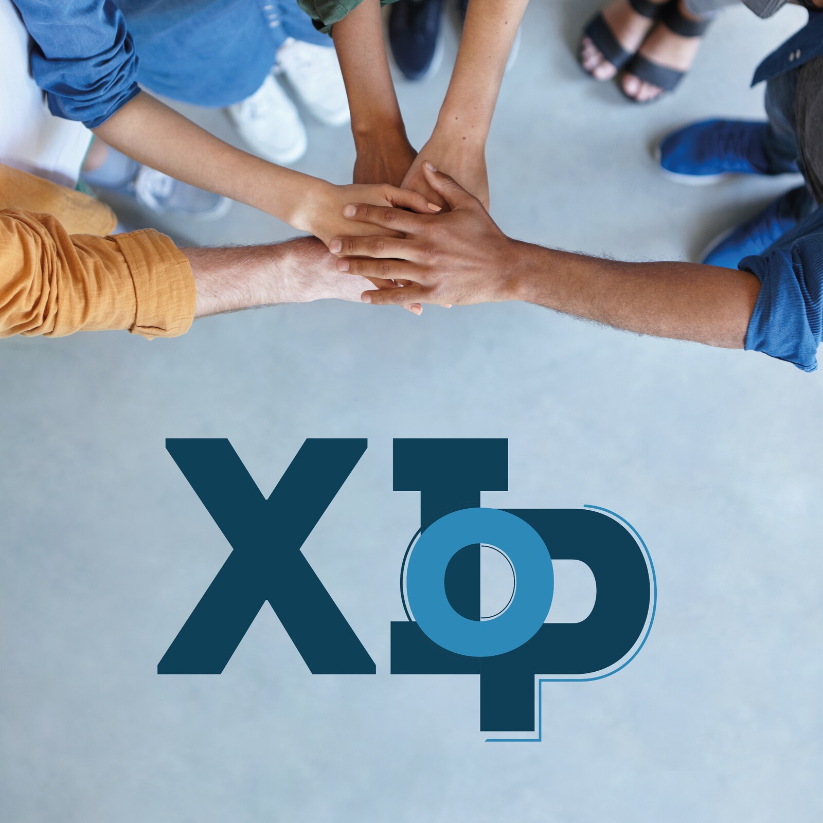 XI Edição do Orçamento Participativo | Fase de votação