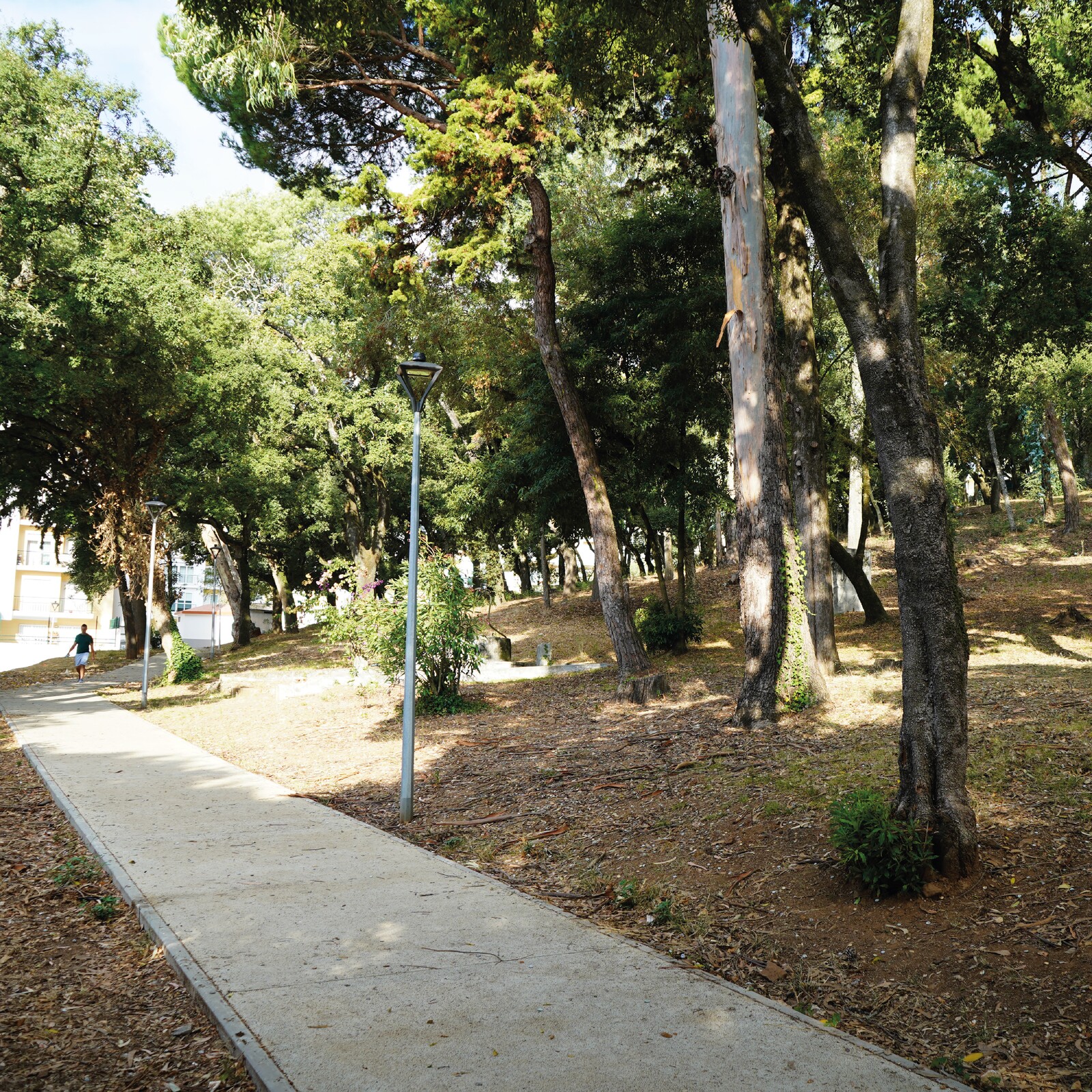 Inicio das obras do Parque Aventura