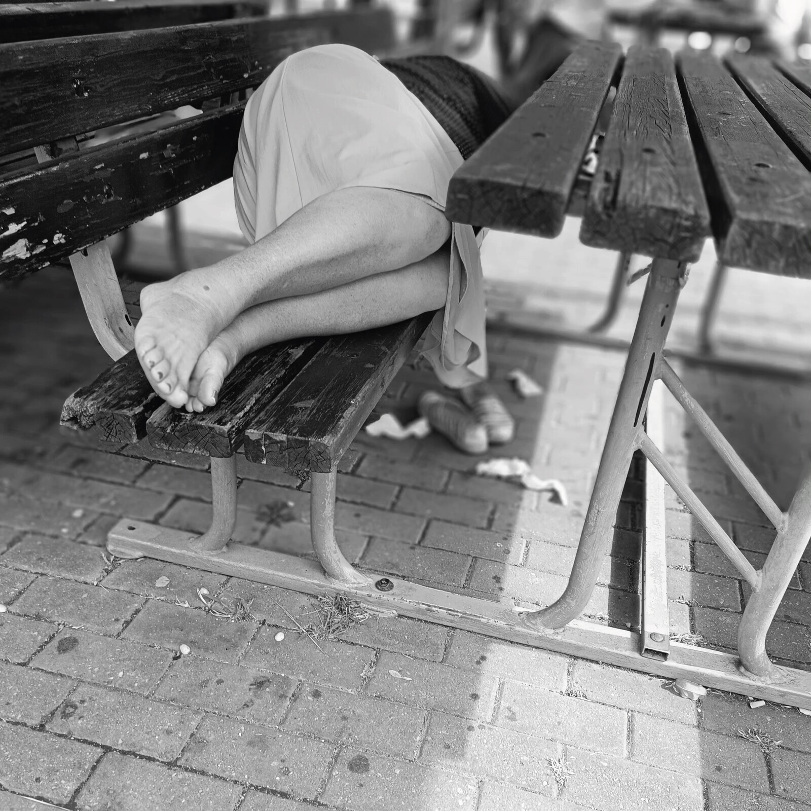 Vencedores do III Concurso de Fotografia