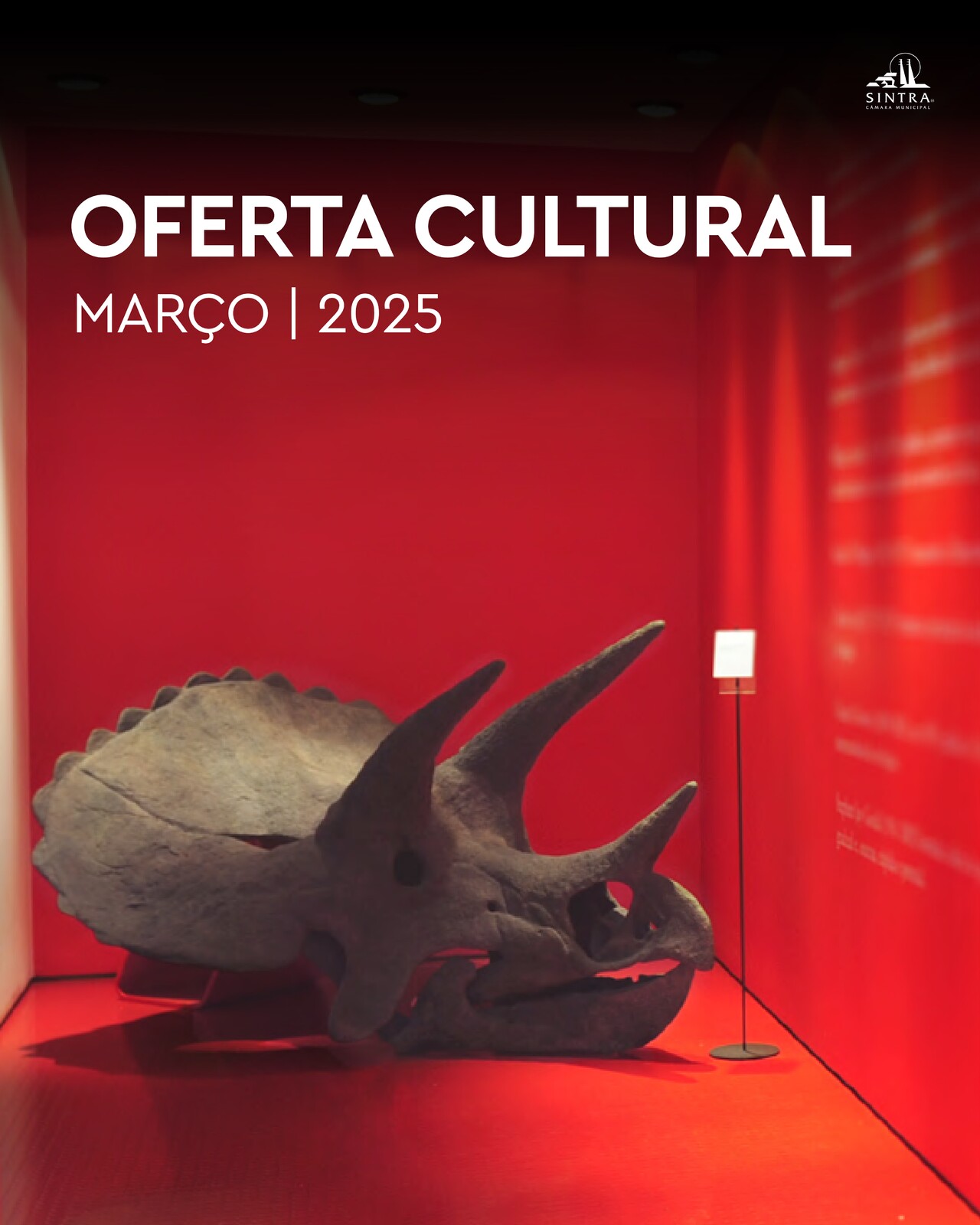 Conheça a oferta cultural do Município de Sintra para o mês de Março
