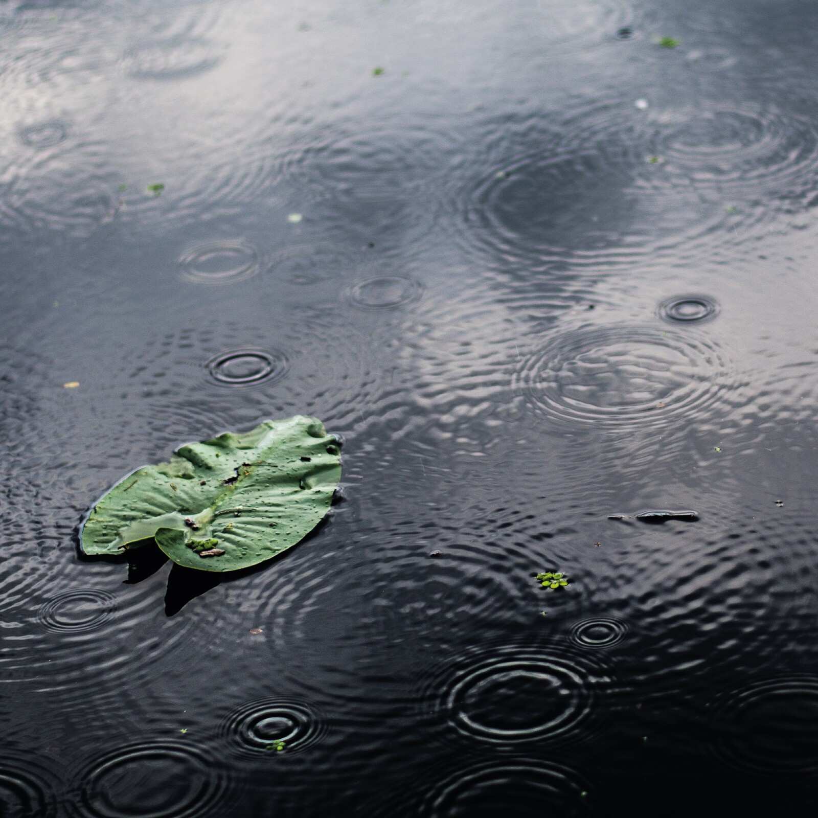 Proteção Civil emite alerta para mau tempo