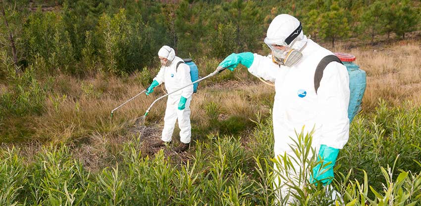 Aviso | Aplicação de produtos fitofarmacêuticos