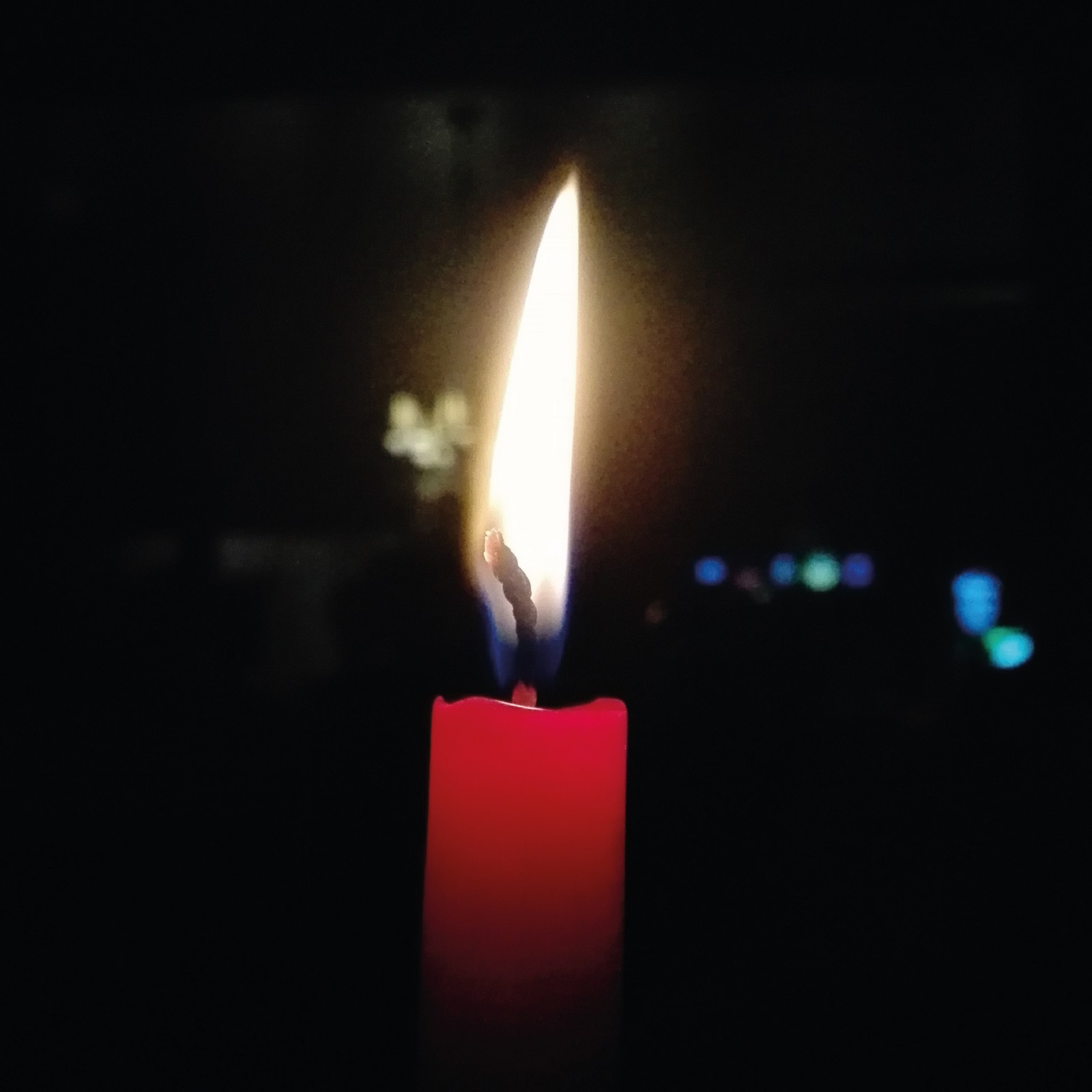 Dia dos Fiéis Defuntos - Autocarro Disponível