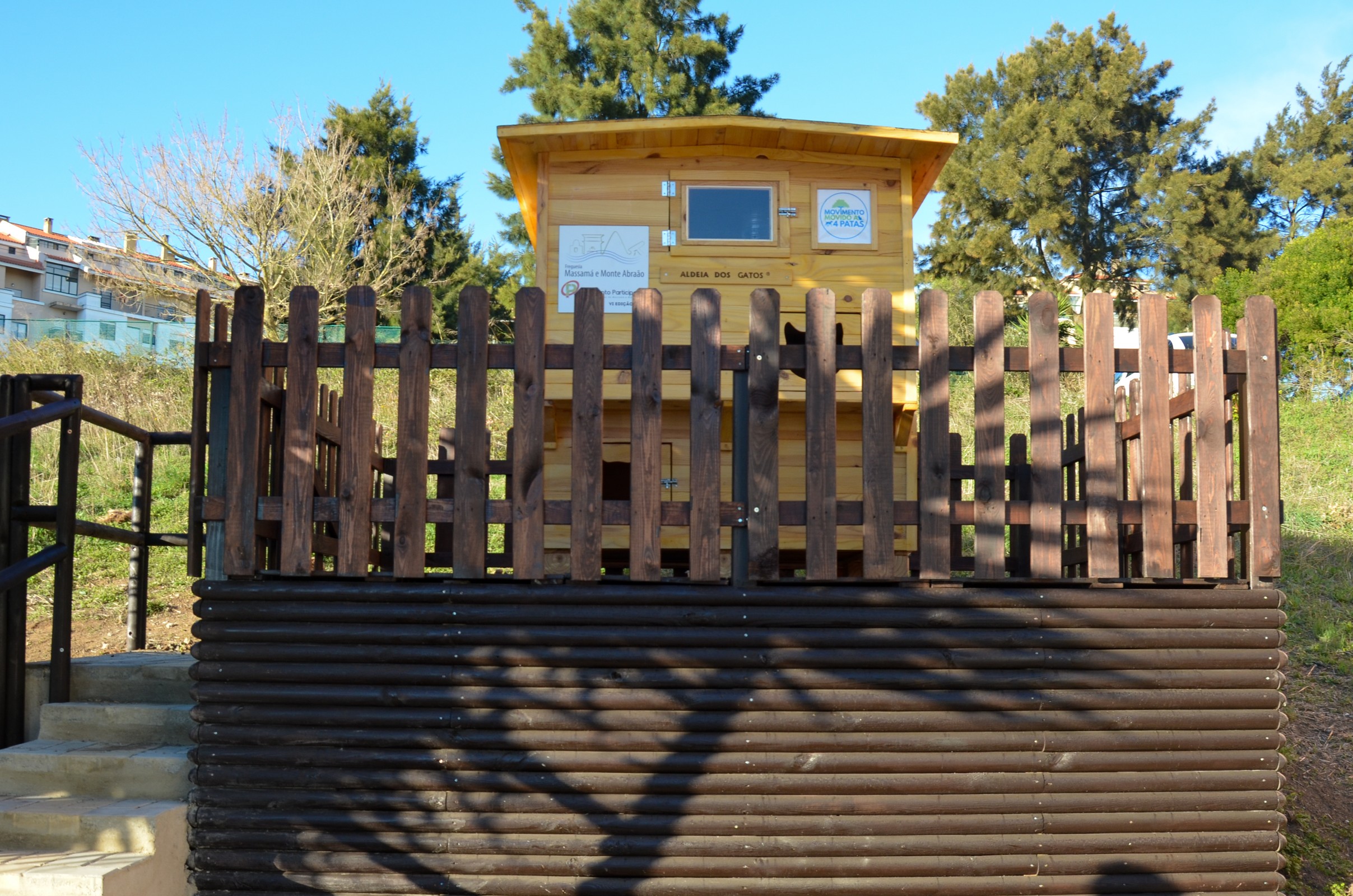 Orçamento Participativo | 6º Abrigo da "Aldeia dos Gatos"