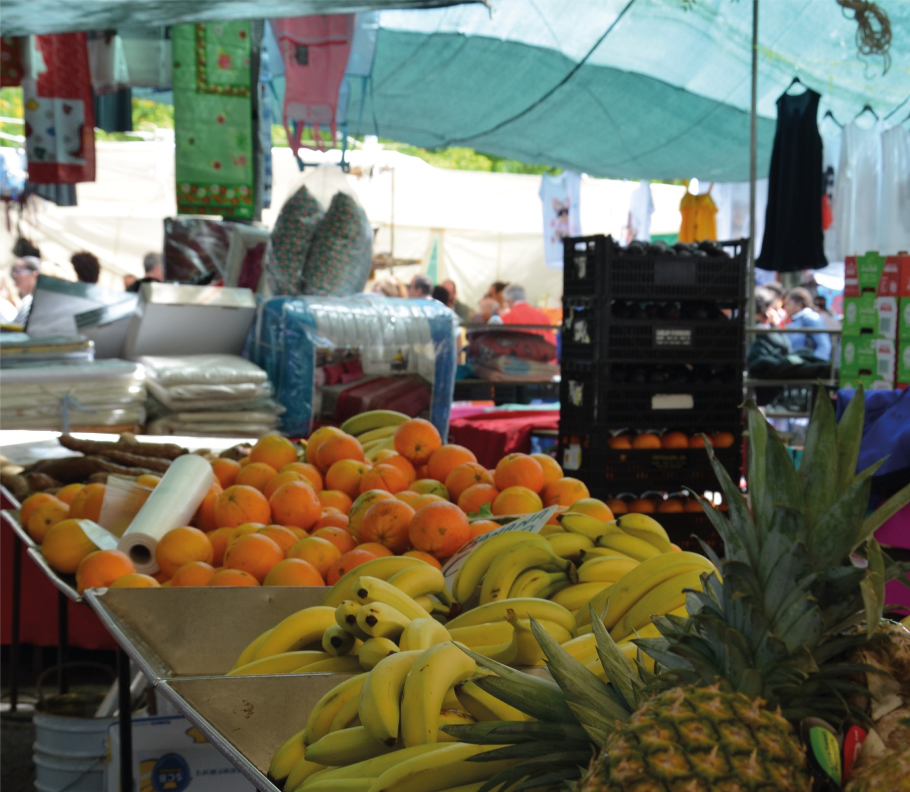 Informação | Feira Semanal de Monte Abraão