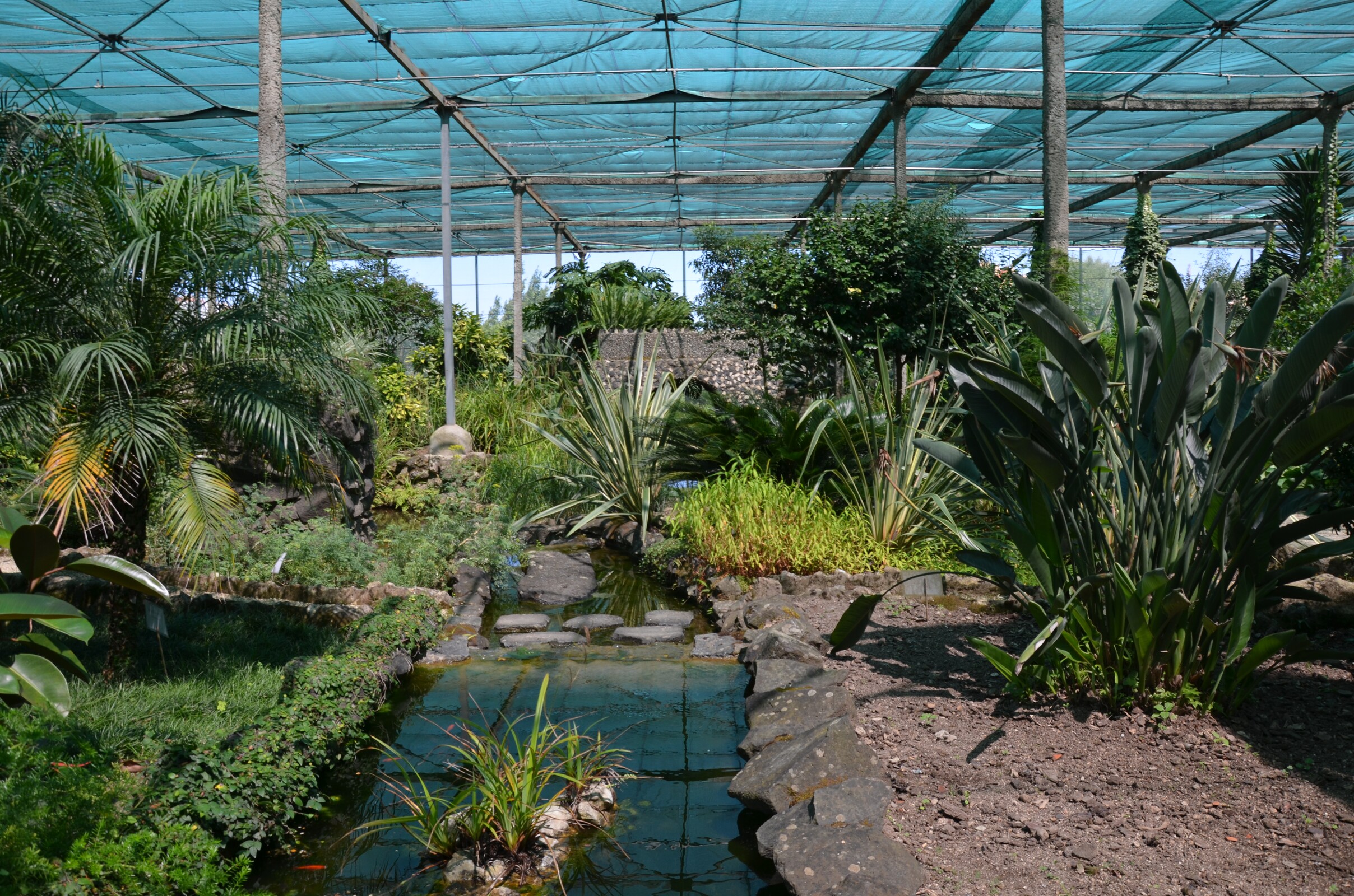 XXV Aniversário da Criação das Freguesias de Massamá e de Monte Abraão 