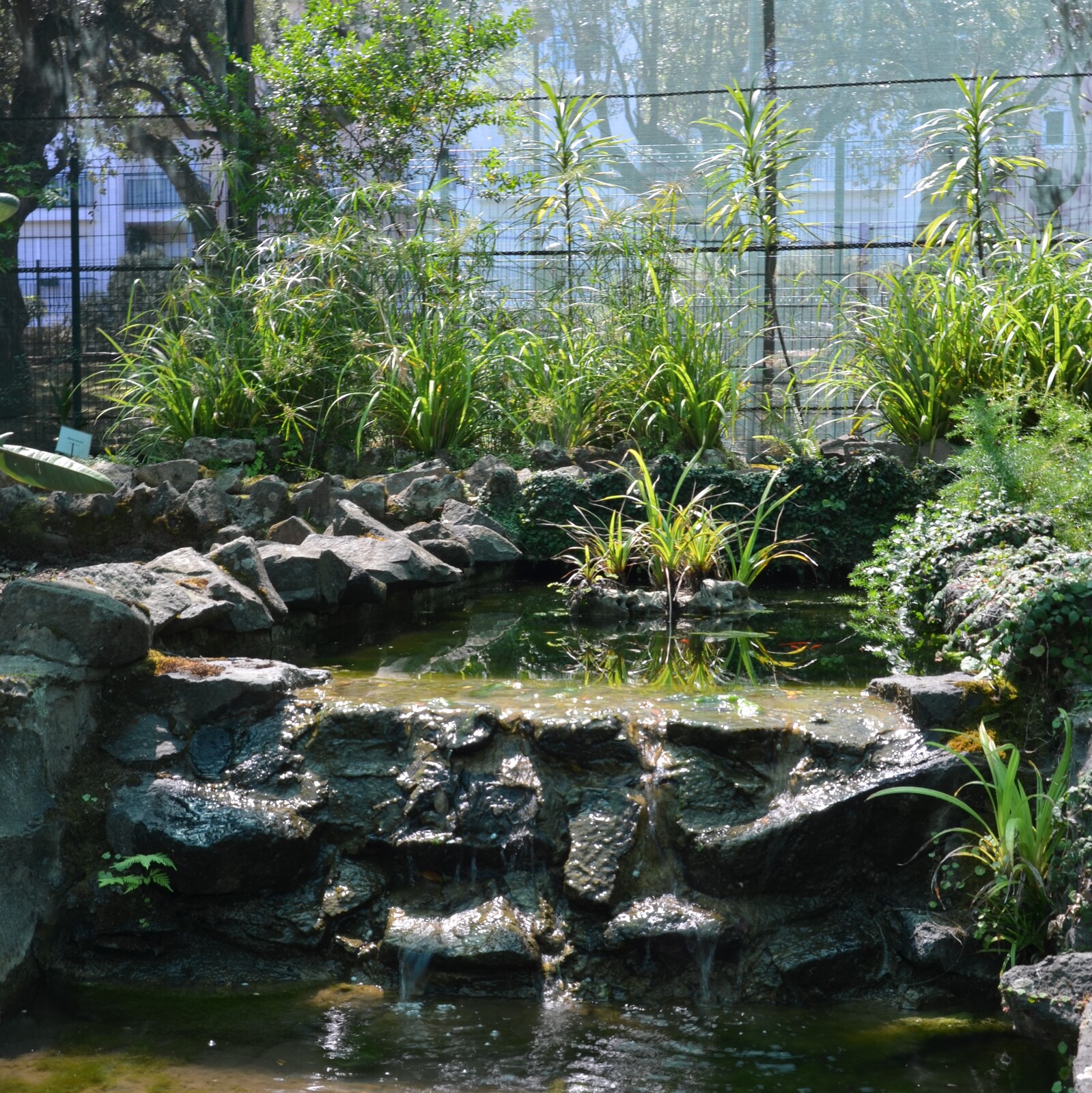 Estufa Botânica da Quinta das Flores 