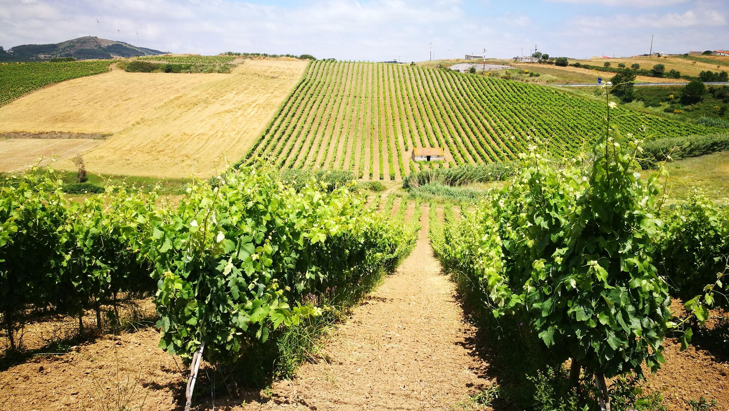 A2S | Novas candidaturas