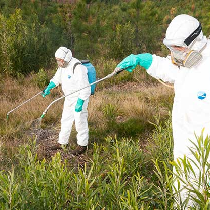 Aviso | Produtos fitofarmacêuticos junto à via ferroviária - Linha de Sintra