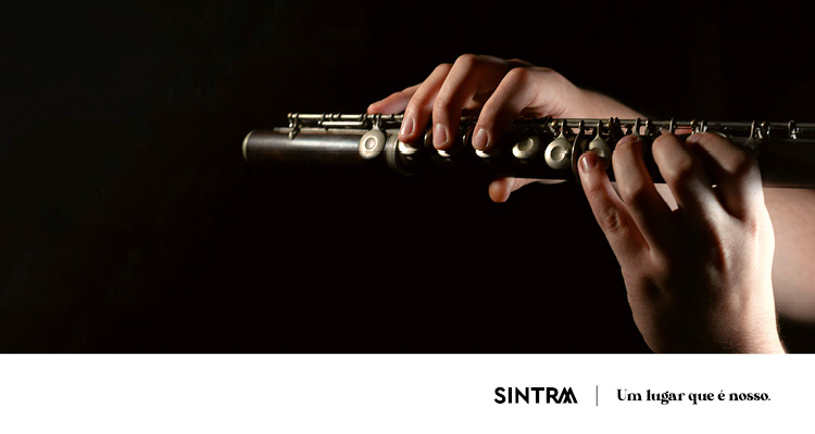 Orquestra Municipal de Sintra | Concerto dedicado às famílias