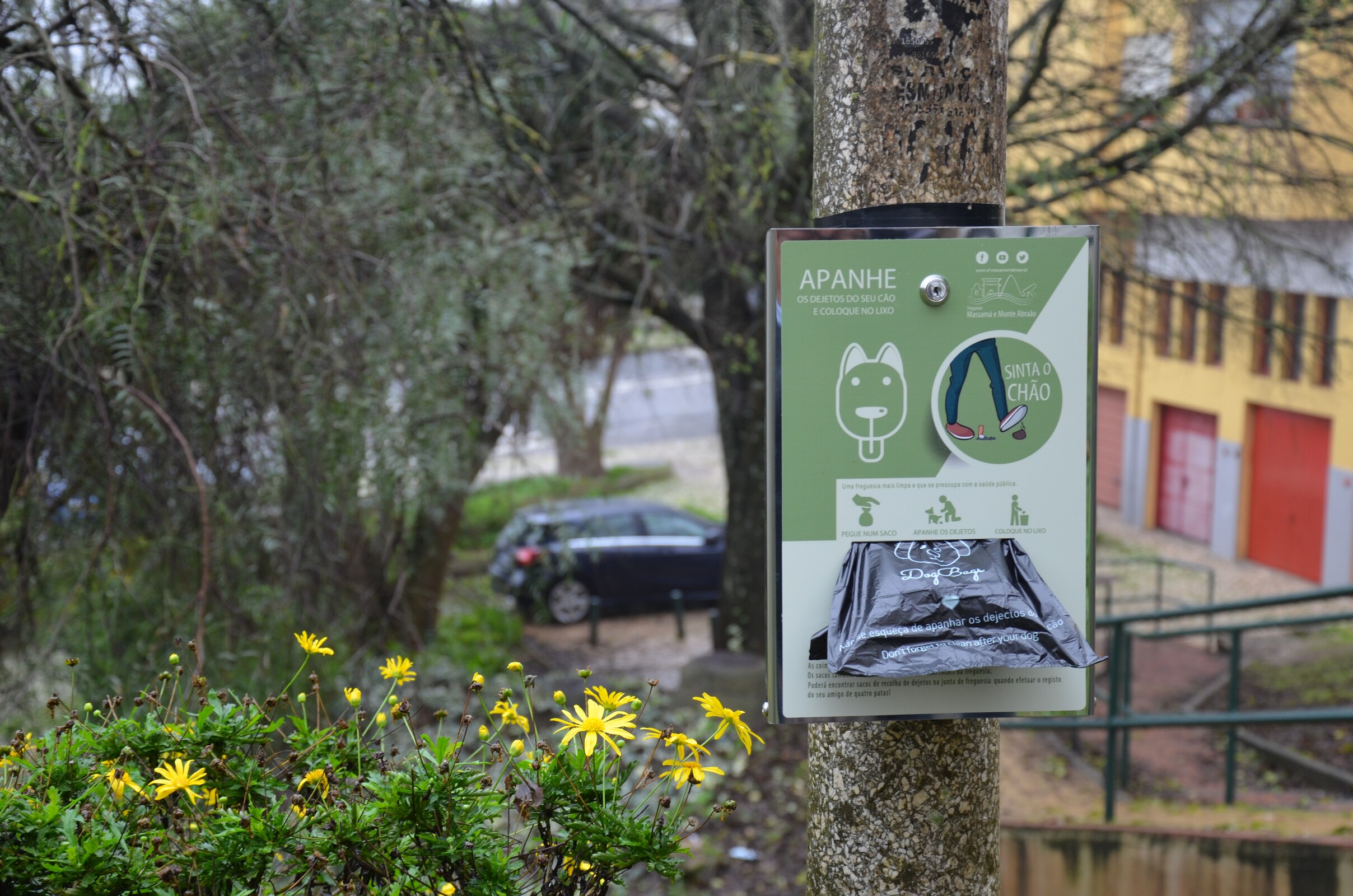 Sinta o Chão | Apanhe os dejetos caninos