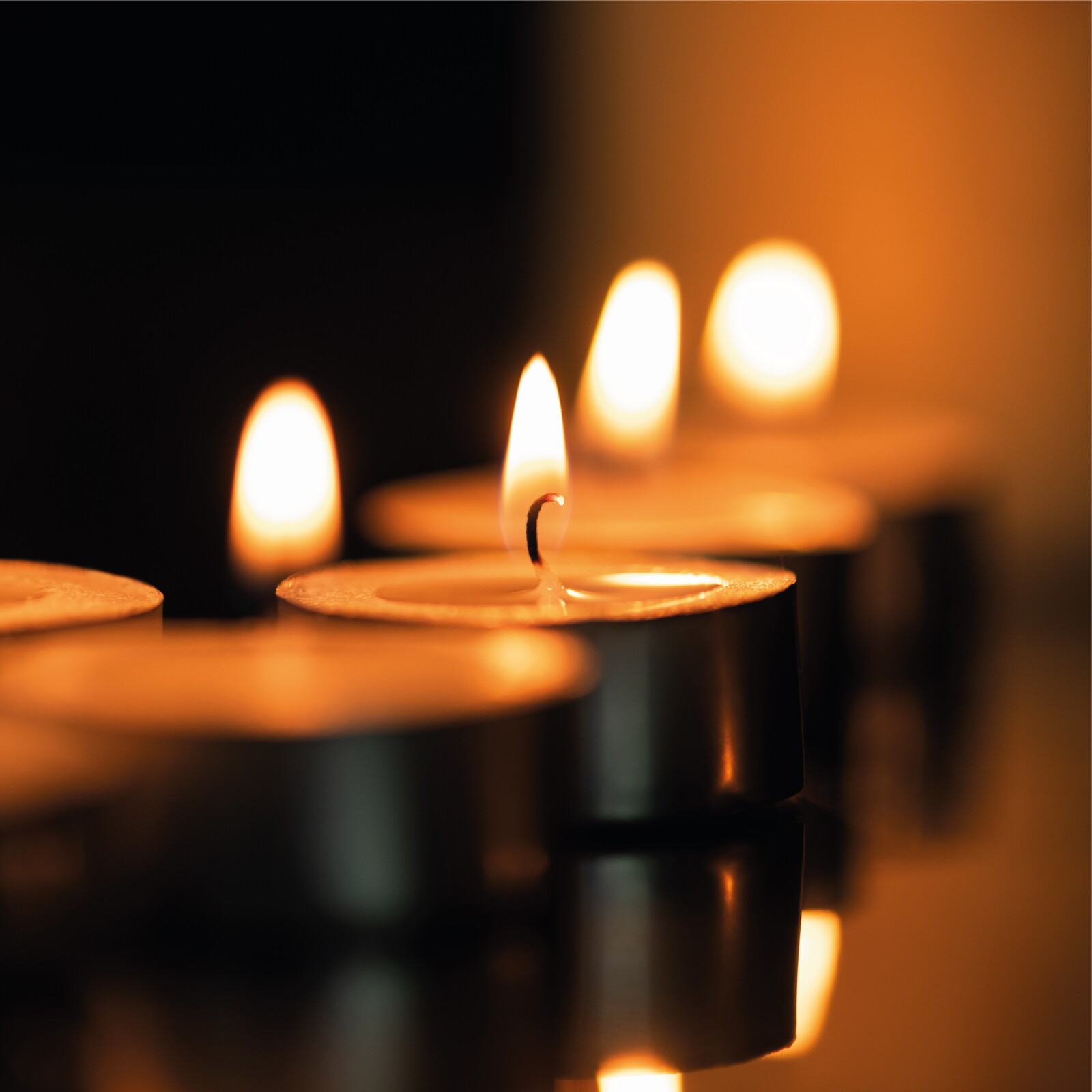 Procissão dos Ramos e do Enterro do Senhor | Autocarro disponível