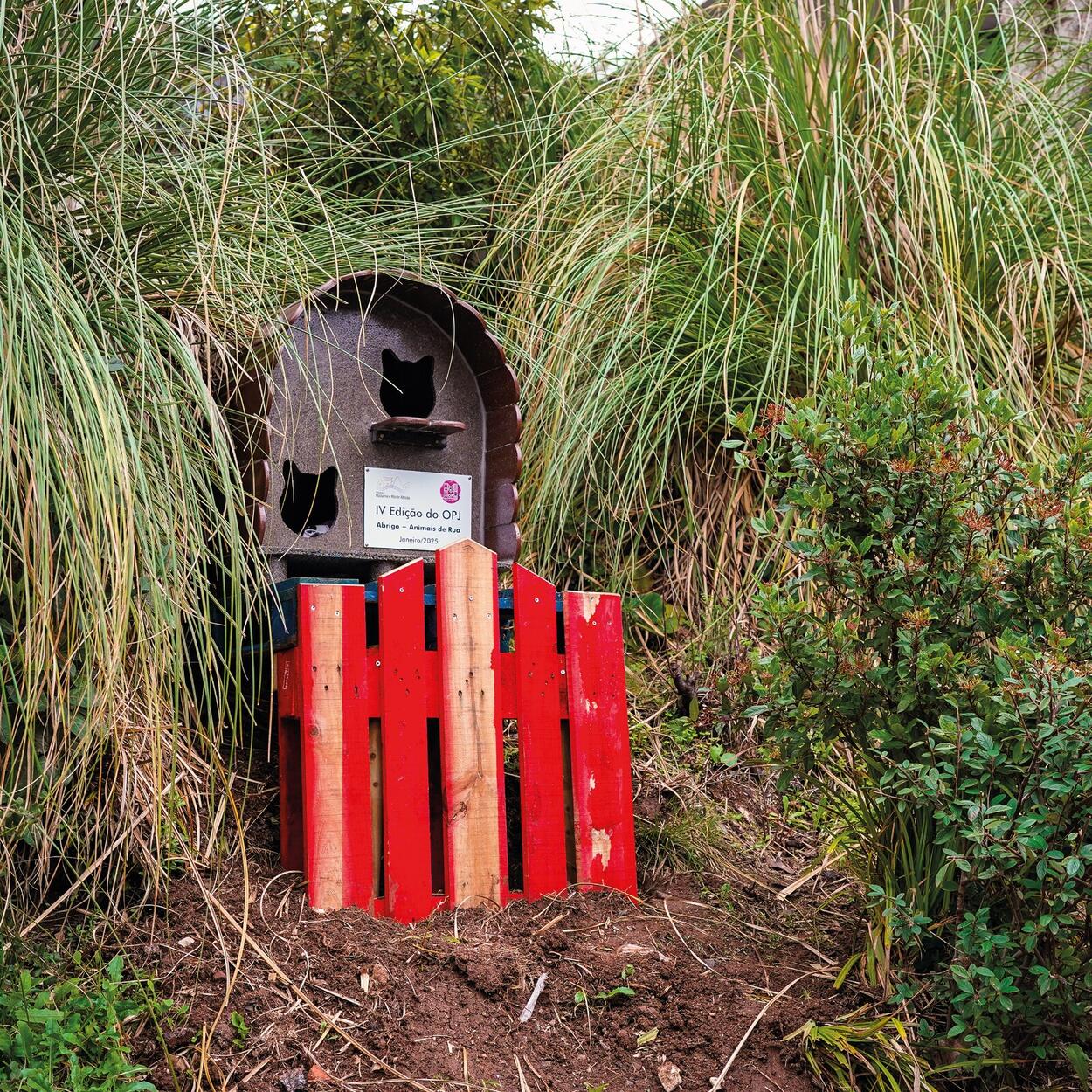 Foto Abrigo dos Gatos