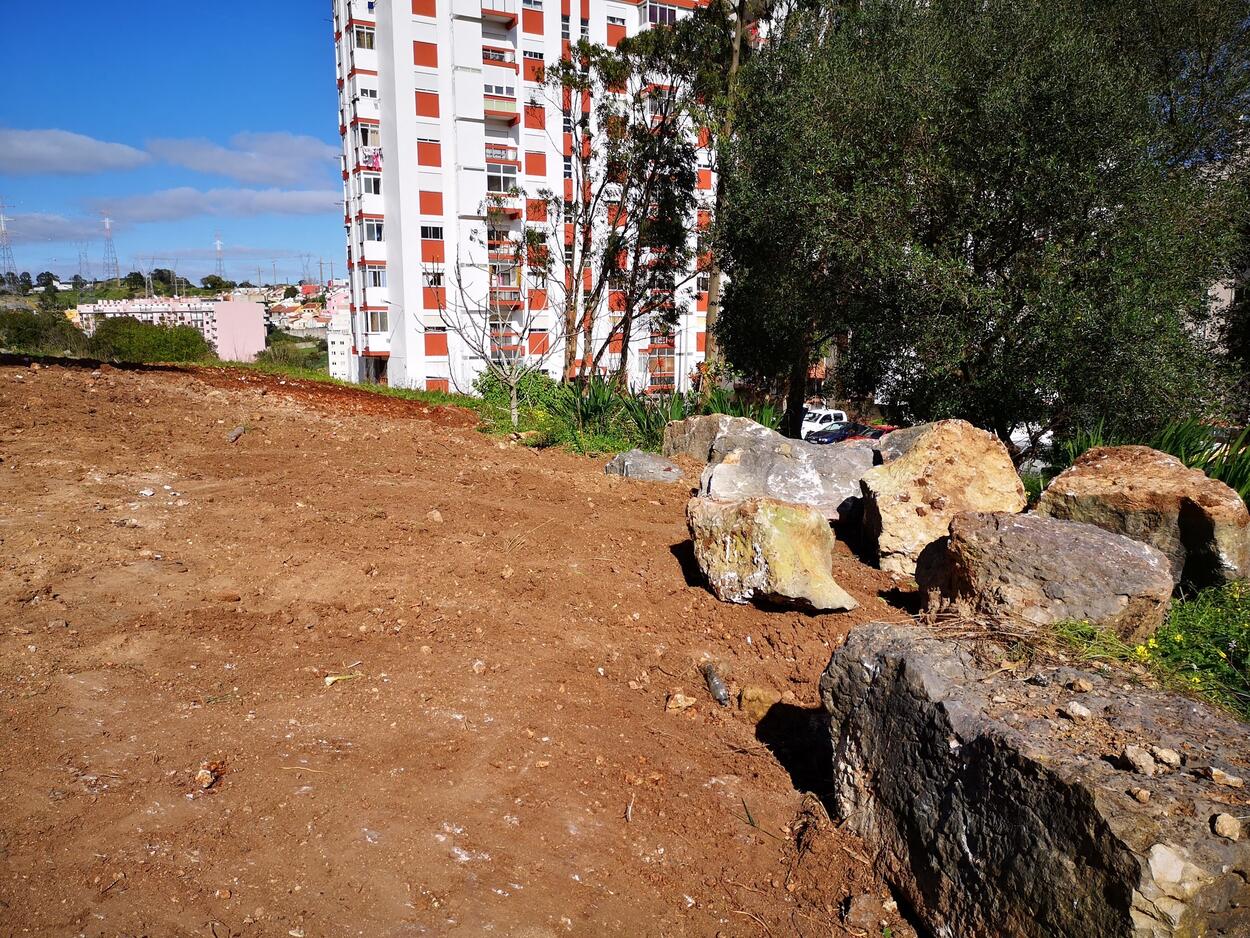 img_20200226_144402_1_2500_2500